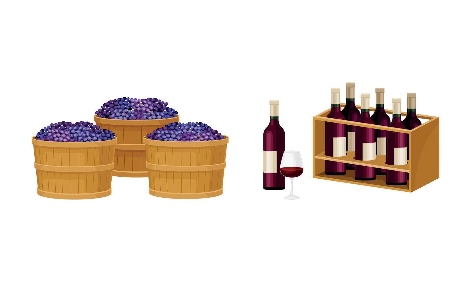 Destemmed Grapes Gathered in Baskets and Glass Bottles in Rack Set vector