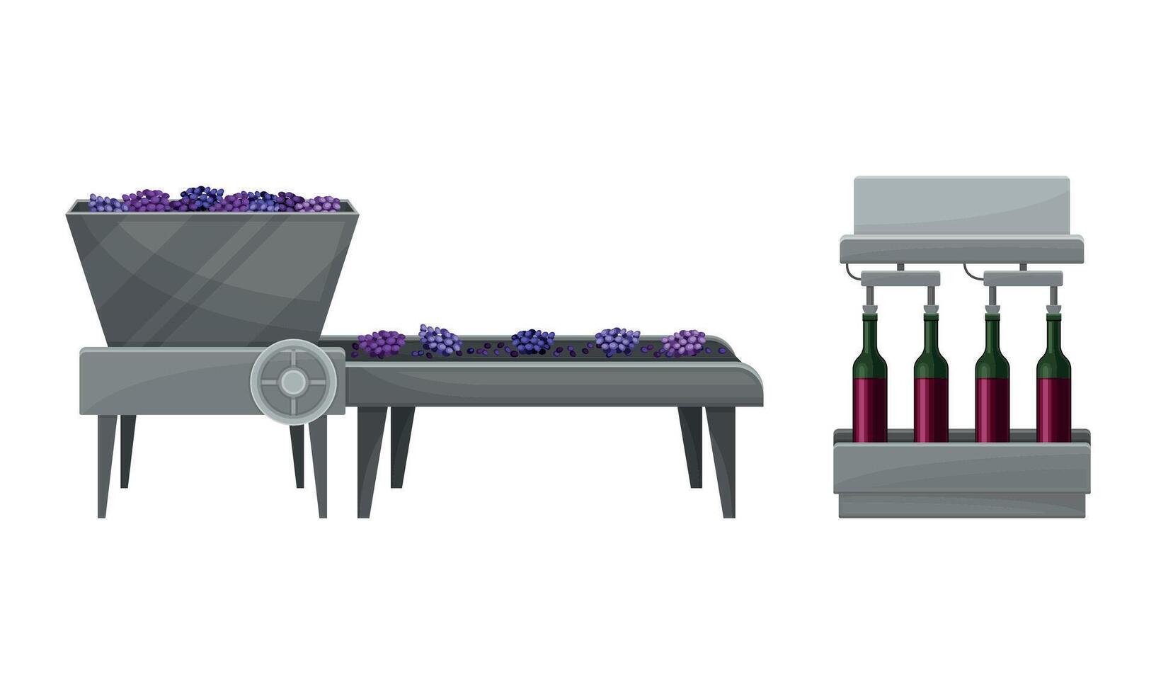 Destemmed Grapes on Conveyor Belt and Bottling Process Set vector