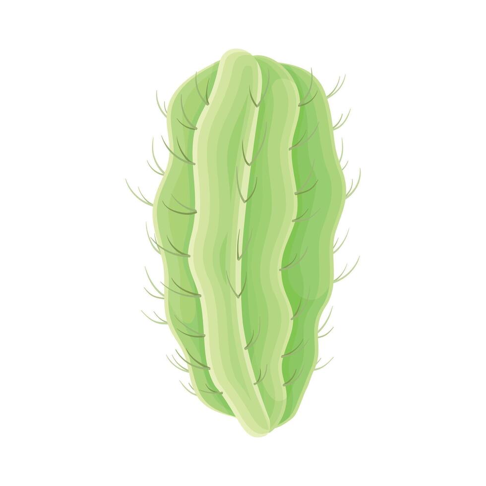 Cactus succulent plant. Trendy home, office decor element illustration vector