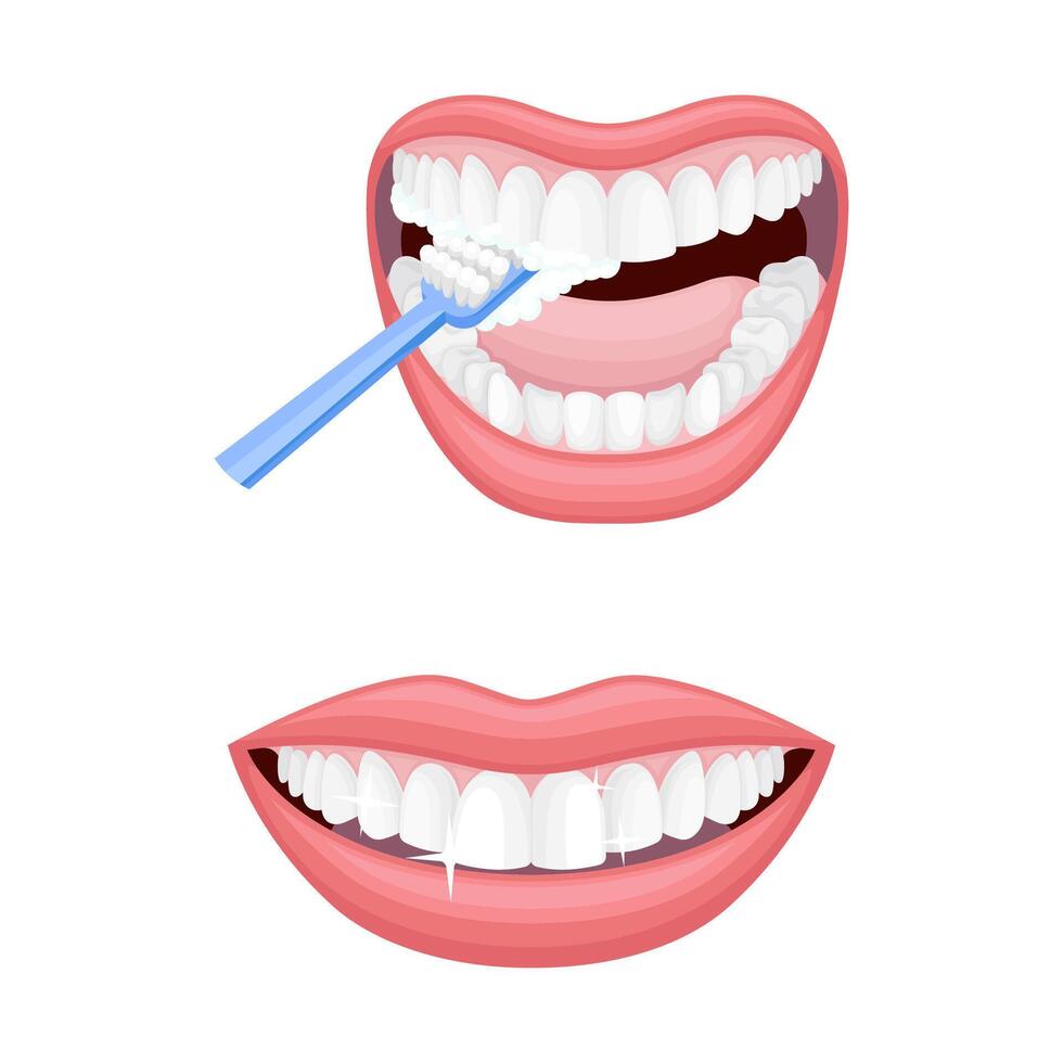 Open Mouth with Toothbrush Scrubbing and Cleaning Teeth and Smile with White Teeth Set vector