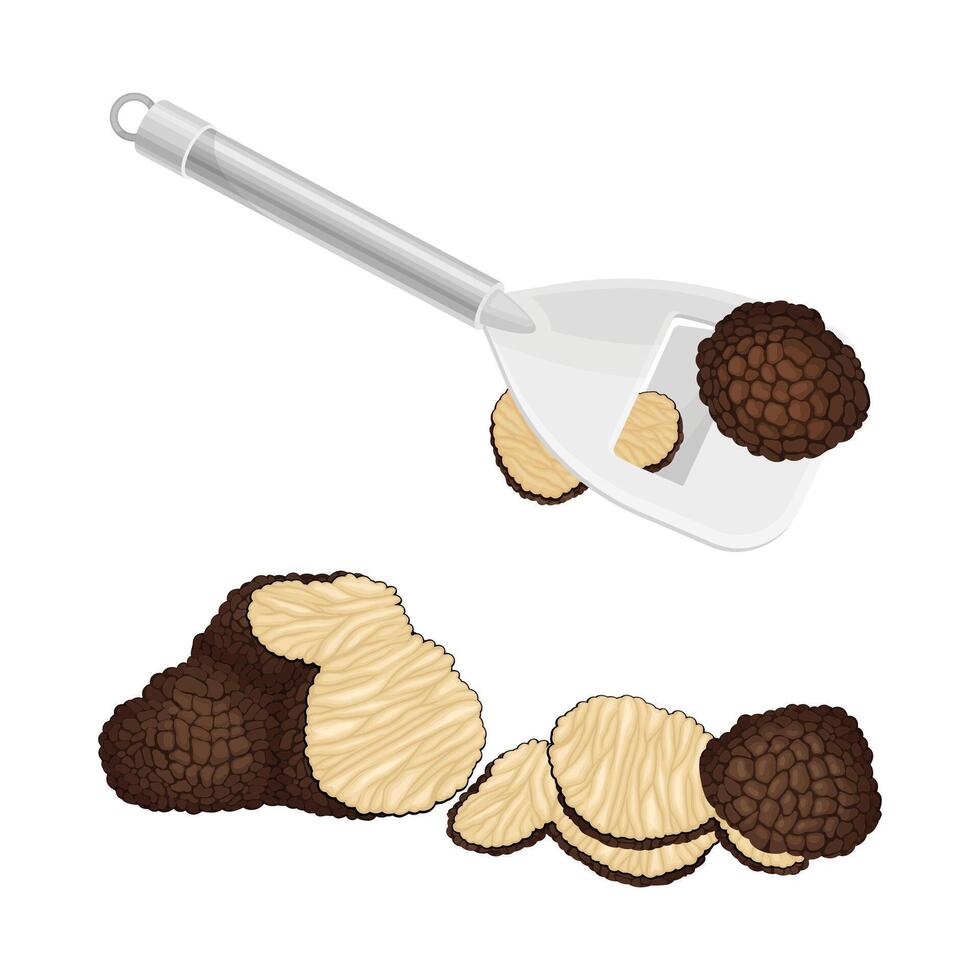 Truffle Fungus Preparation with Slicing Knife Set vector