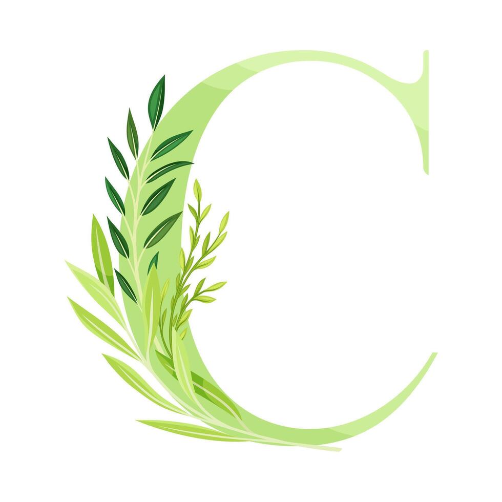 Alphabet Letter C Decorated with Green Foliage and Leaf Illustration vector