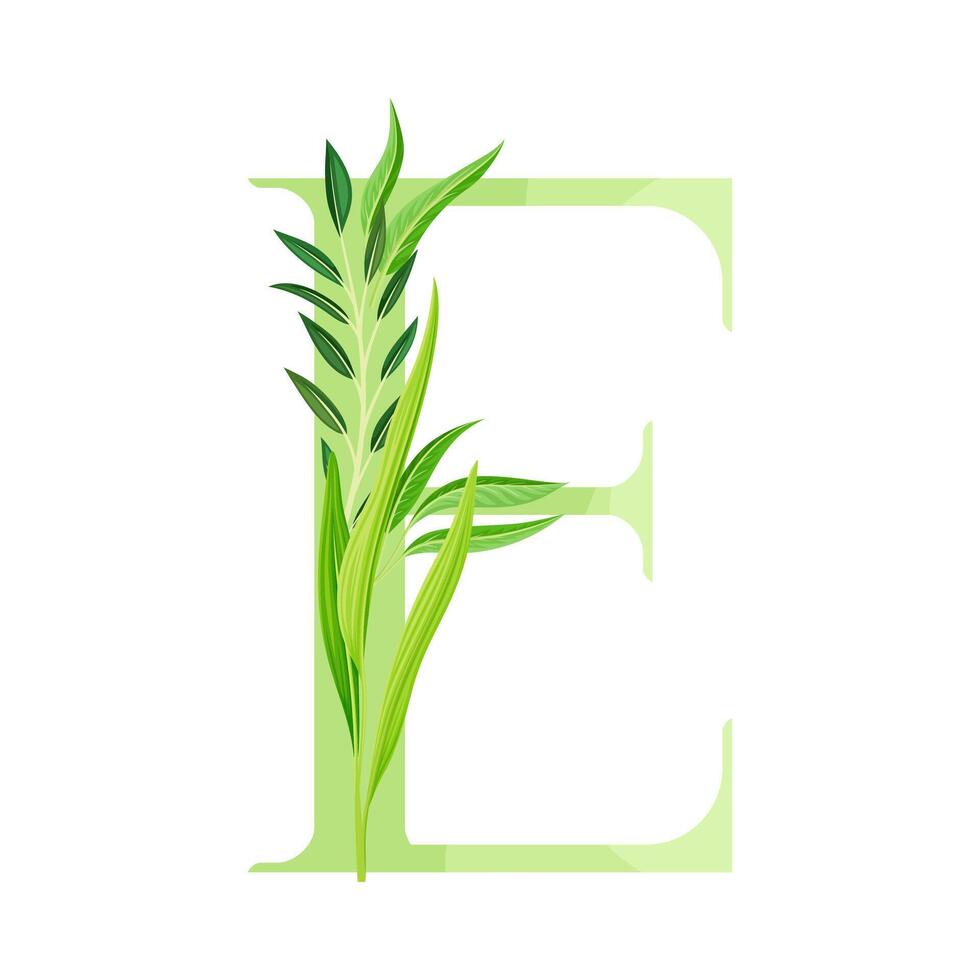 Alphabet Letter E Decorated with Green Foliage and Leaf Illustration vector