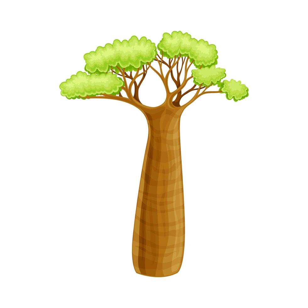 Baobab tree powerful plant, African landscape design element cartoon illustration vector