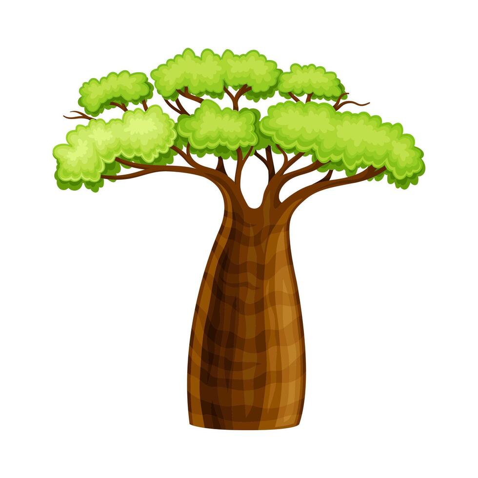 African Baobab tree. Powerful plant with green foliage cartoon illustration vector