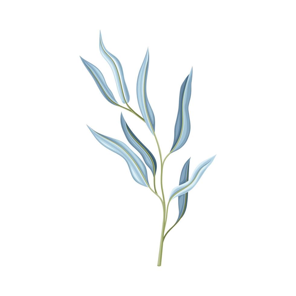 Blue plant with narrow blue leaves illustration vector
