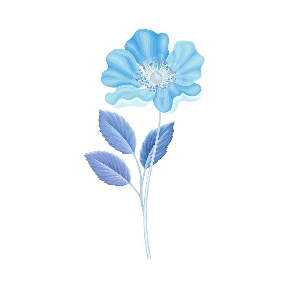Beautiful blue anemone flower, trendy color floral design element illustration vector