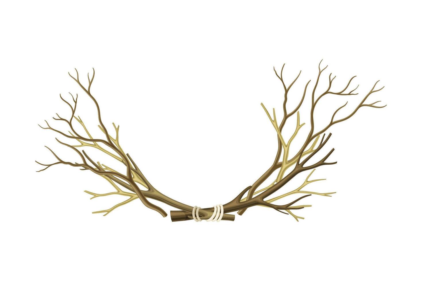 Bare Tree Branch Tied in Semi Circle Illustration vector