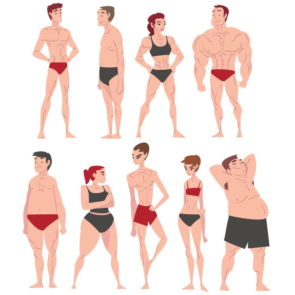 Men and Women in Underwear Set, Different Human Body Constitution, Male and Female Body Types Cartoon Style Illustration vector