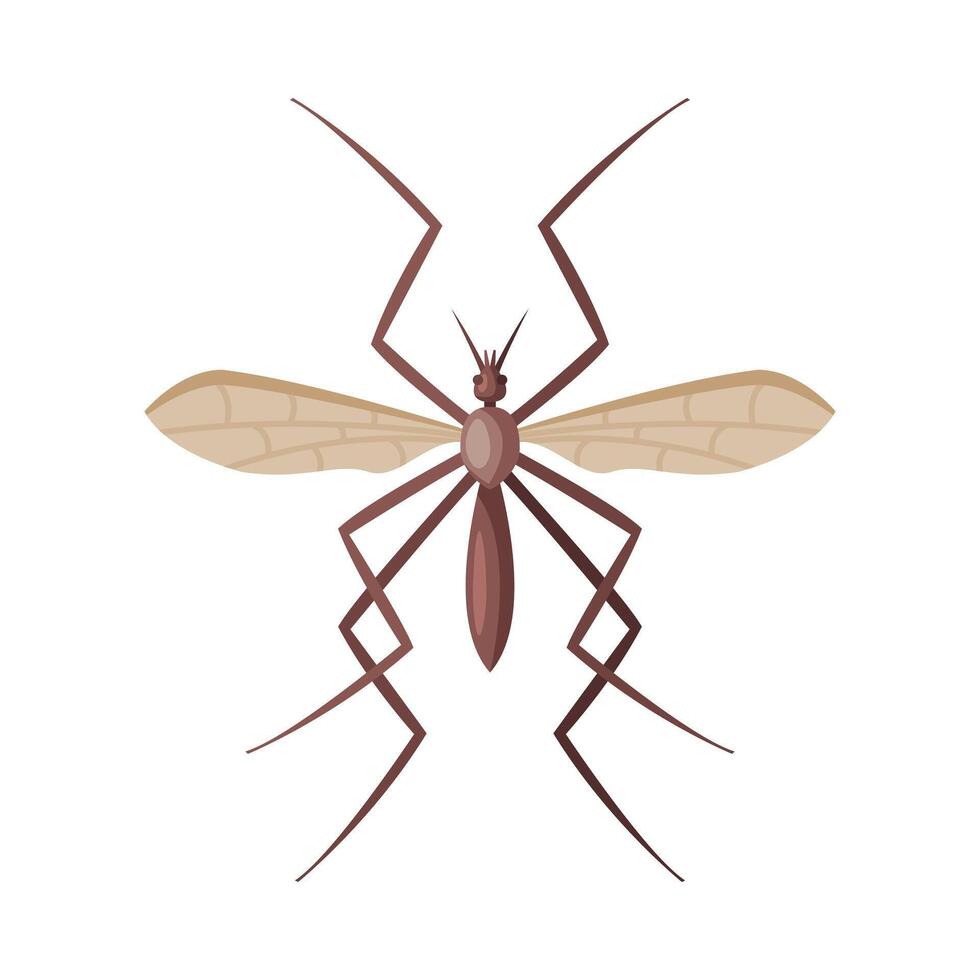 Mosquito Insect, Pest Control and Extermination Concept Illustration on White Background vector