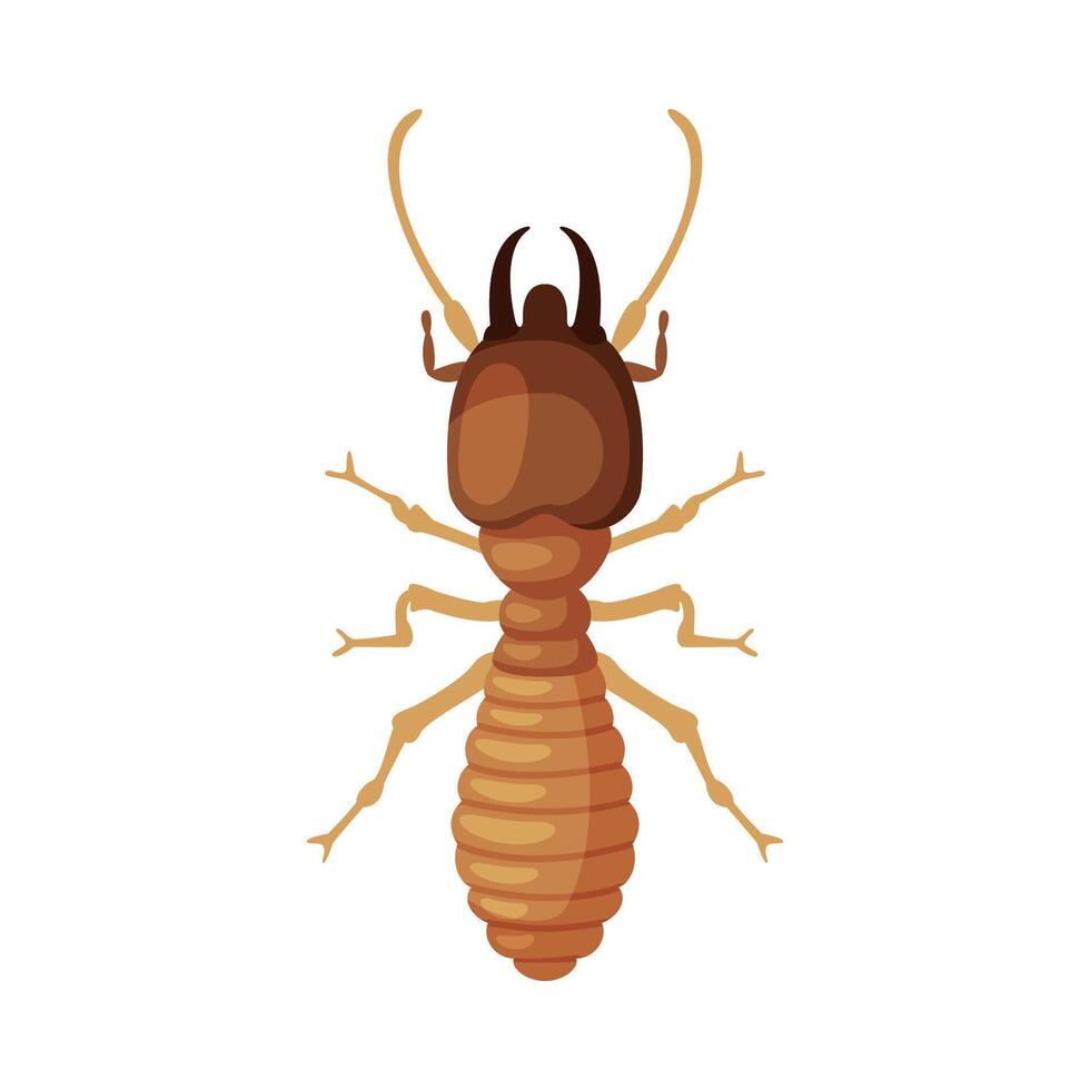 Termite Harmful Insect, Pest Control and Extermination Concept Illustration on White Background vector