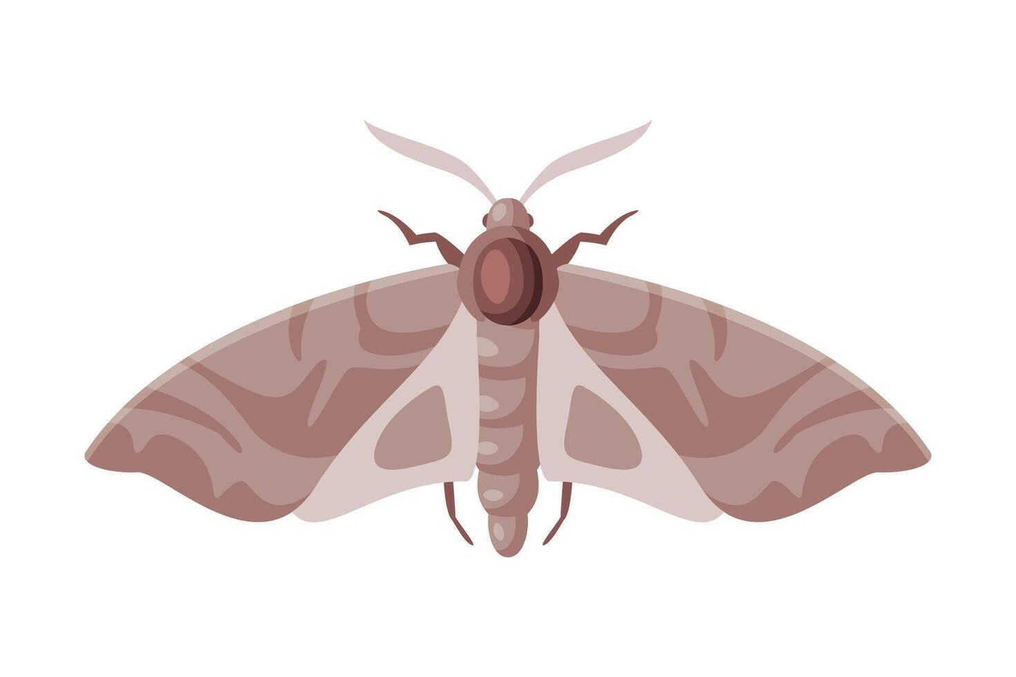 Clothes Moth Winged Insect, Pest Control and Extermination Concept Illustration on White Background vector