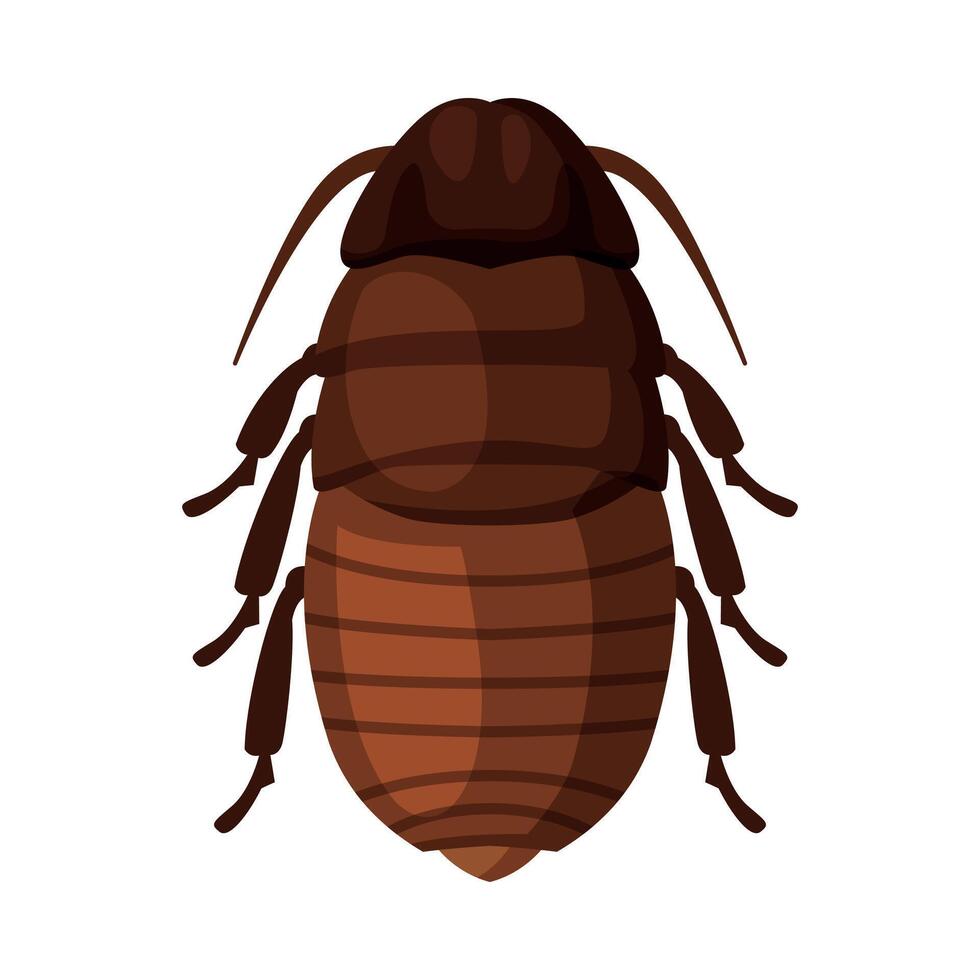 Black Cockroach Insect, Pest Control and Extermination Concept Illustration on White Background vector