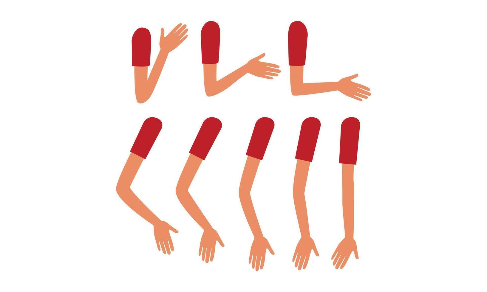 Human Sleeved Arms in Various Poses Set, Male or Female Body Part, Constructor for Animation Cartoon Style Illustration vector