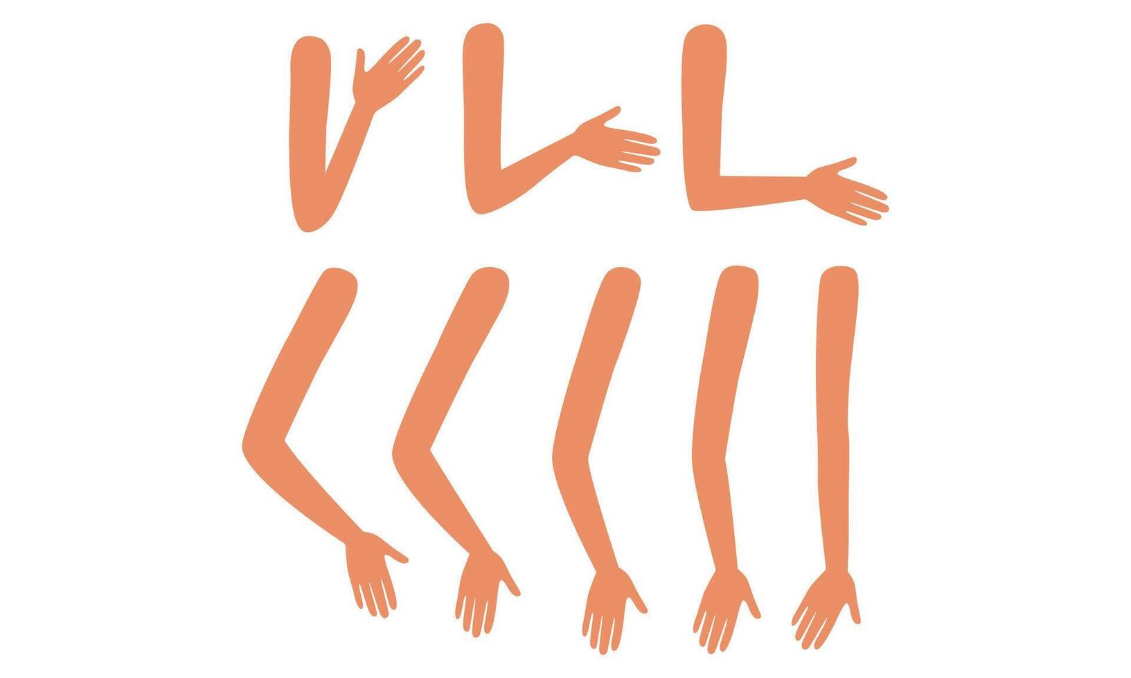 Human Arms in Various Poses Set, Male or Female Body Part, Constructor for Animation Cartoon Style Illustration vector