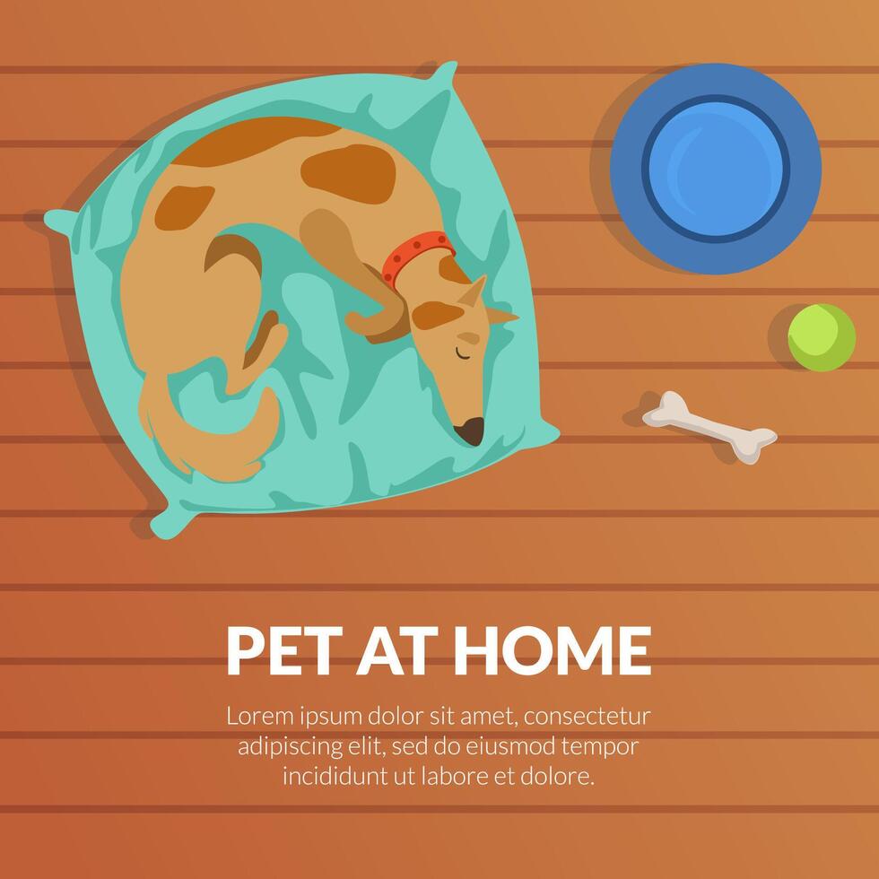 Pet at Home Banner Template with Cute Dog Sleeping on a Mat, View from Above Flat Illustration vector