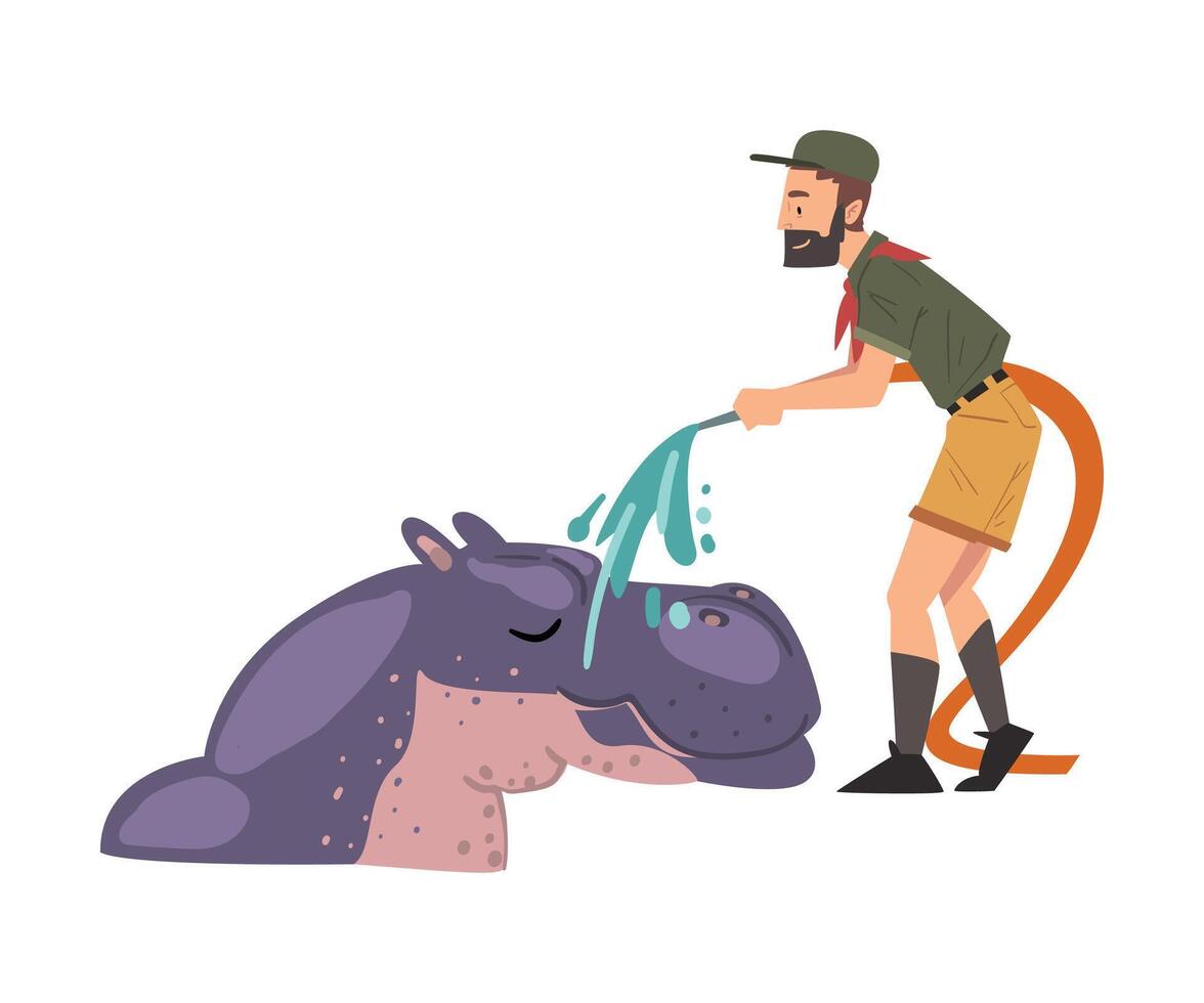 Male Zoo Worker Washing Hippo with Shower, Veterinarian or Professional Zookeeper Character Caring of Wild Animals in Zoo Cartoon Illustration vector