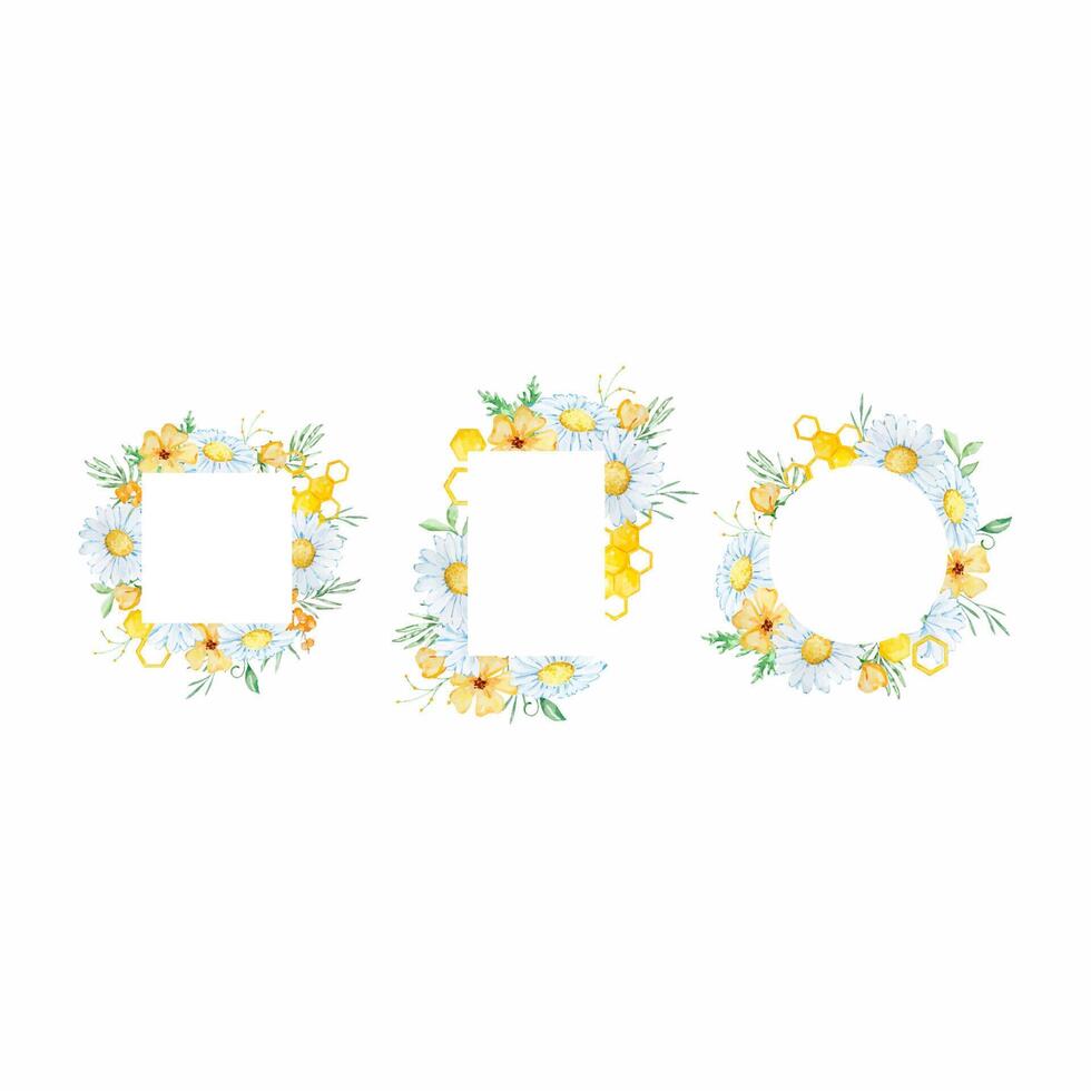 Watercolor floral frames with honeycomb, daisy and leaves vector