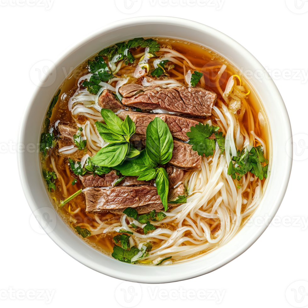 Beef noodle soup in a white bowl with fresh herbs png