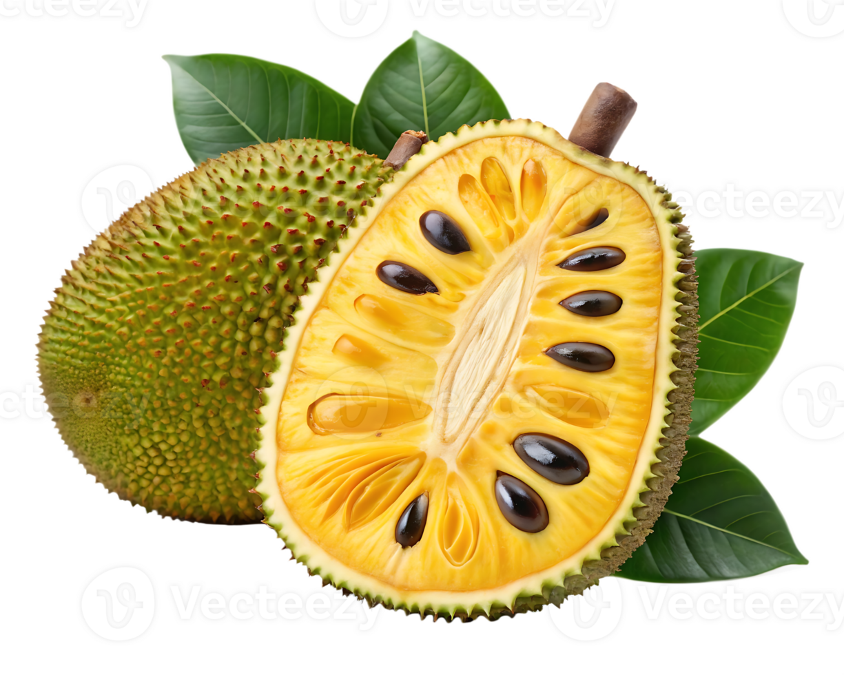 Ripe jackfruit with vibrant yellow flesh and green leaves. png