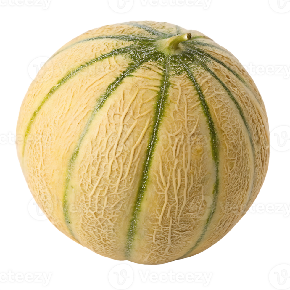 Fresh ripe cantaloupe melon png