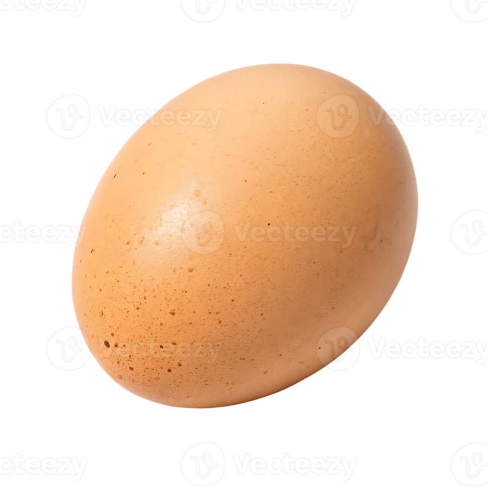 Single brown chicken egg png