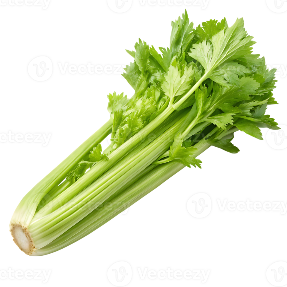 Fresh green celery stalk png