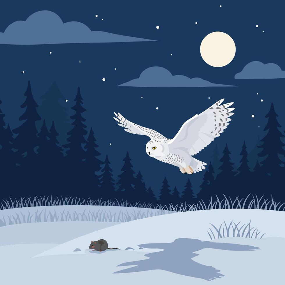 Owl Hunting Rodent in Winter Night Scene with Full Moon vector