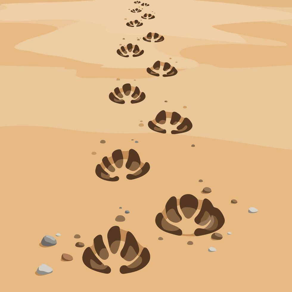 Following Animal Tracks Across Tan Sand in a Desert Landscape vector