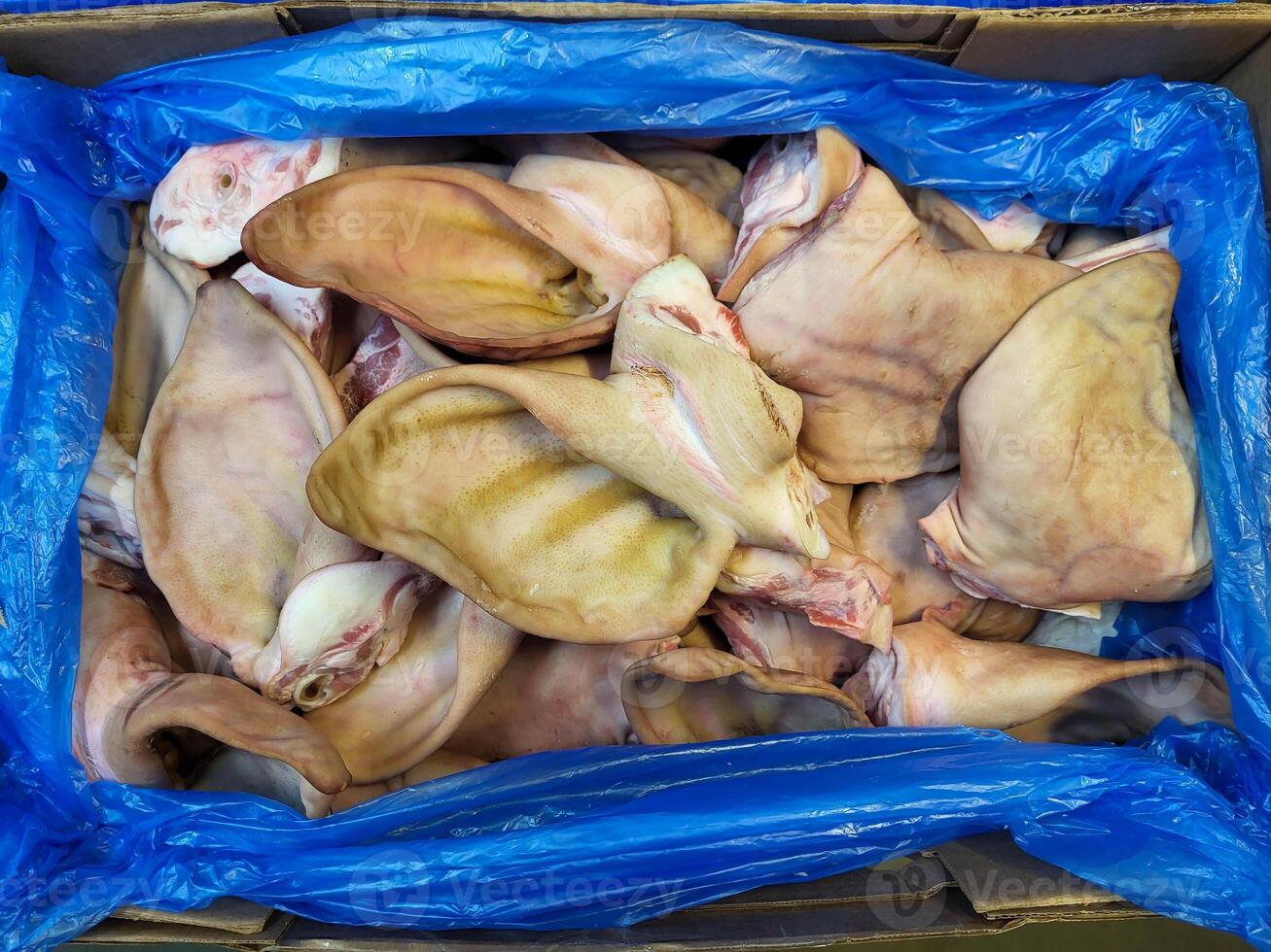 In a box in a blue bag, fresh pig ears are on display at the meat market. photo