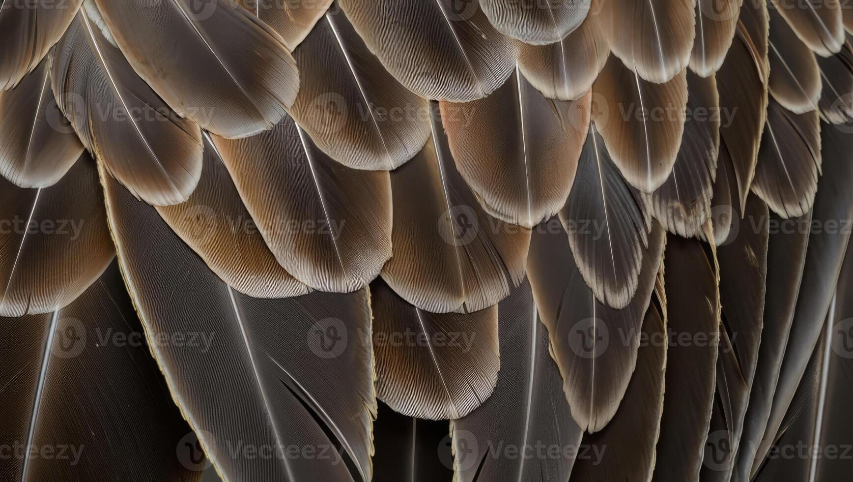 Detailed close up of bird feathers showcasing rich textures and subtle hues in a natural setting during daylight hours photo