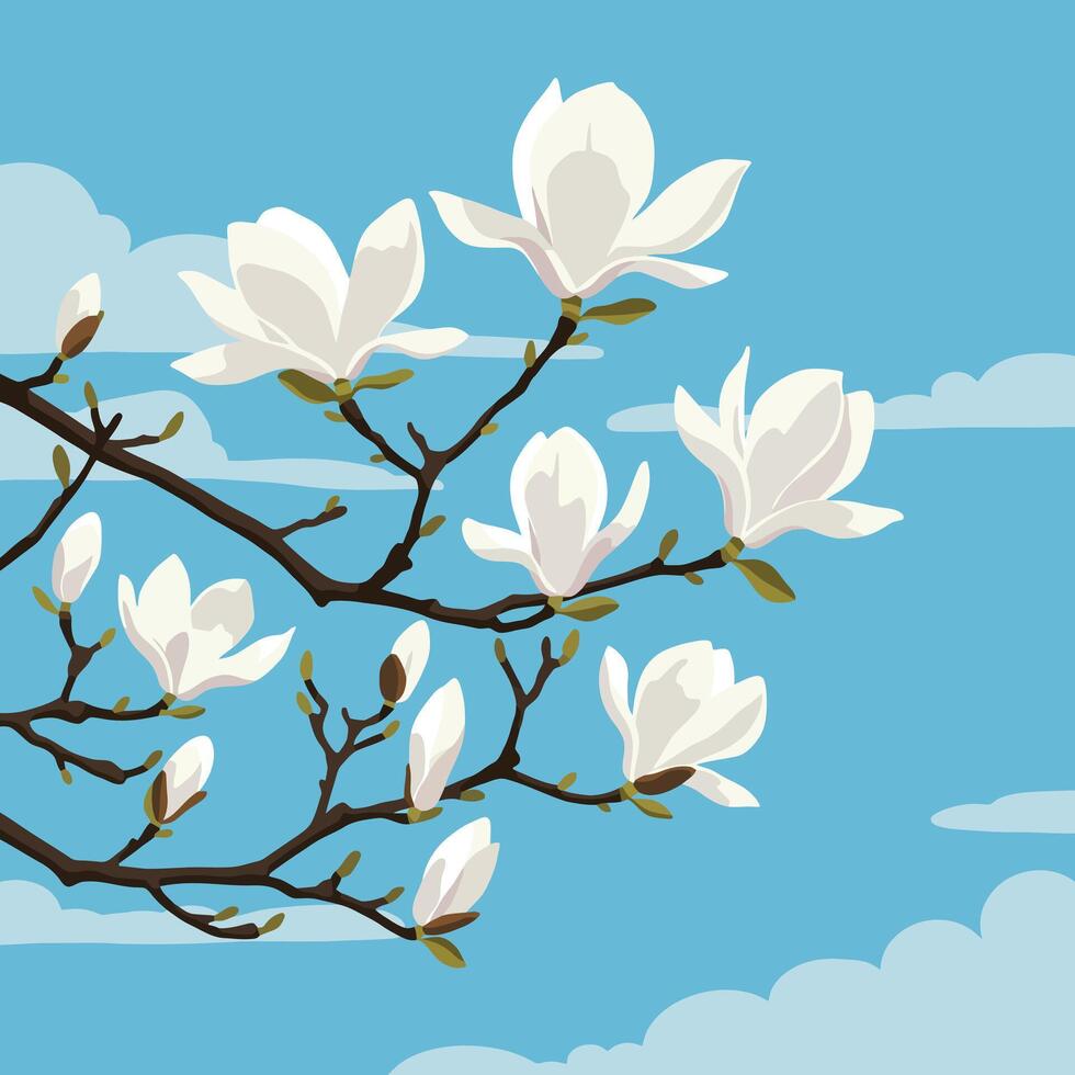 Blooming Magnolia Flowers on Branch Against Bright Blue Sky Background vector