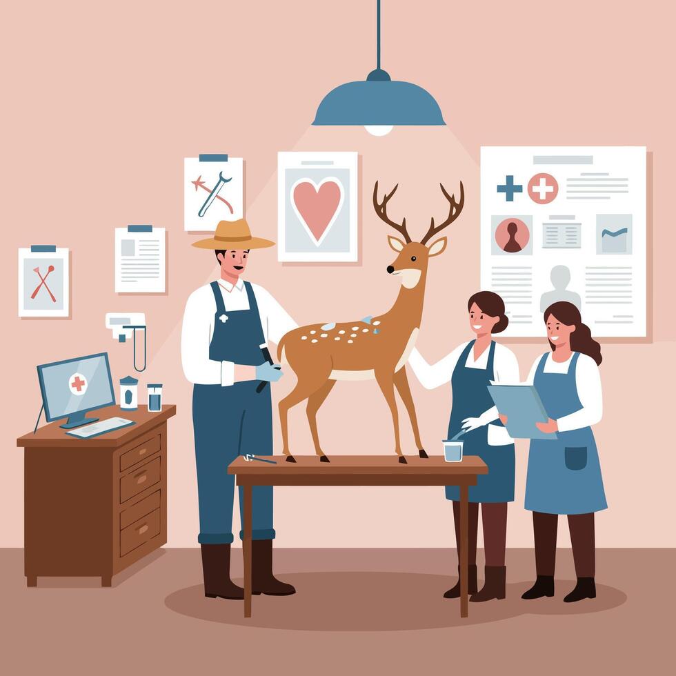 Veterinarian Team Examining a Deer Inside a Clinic Setting vector