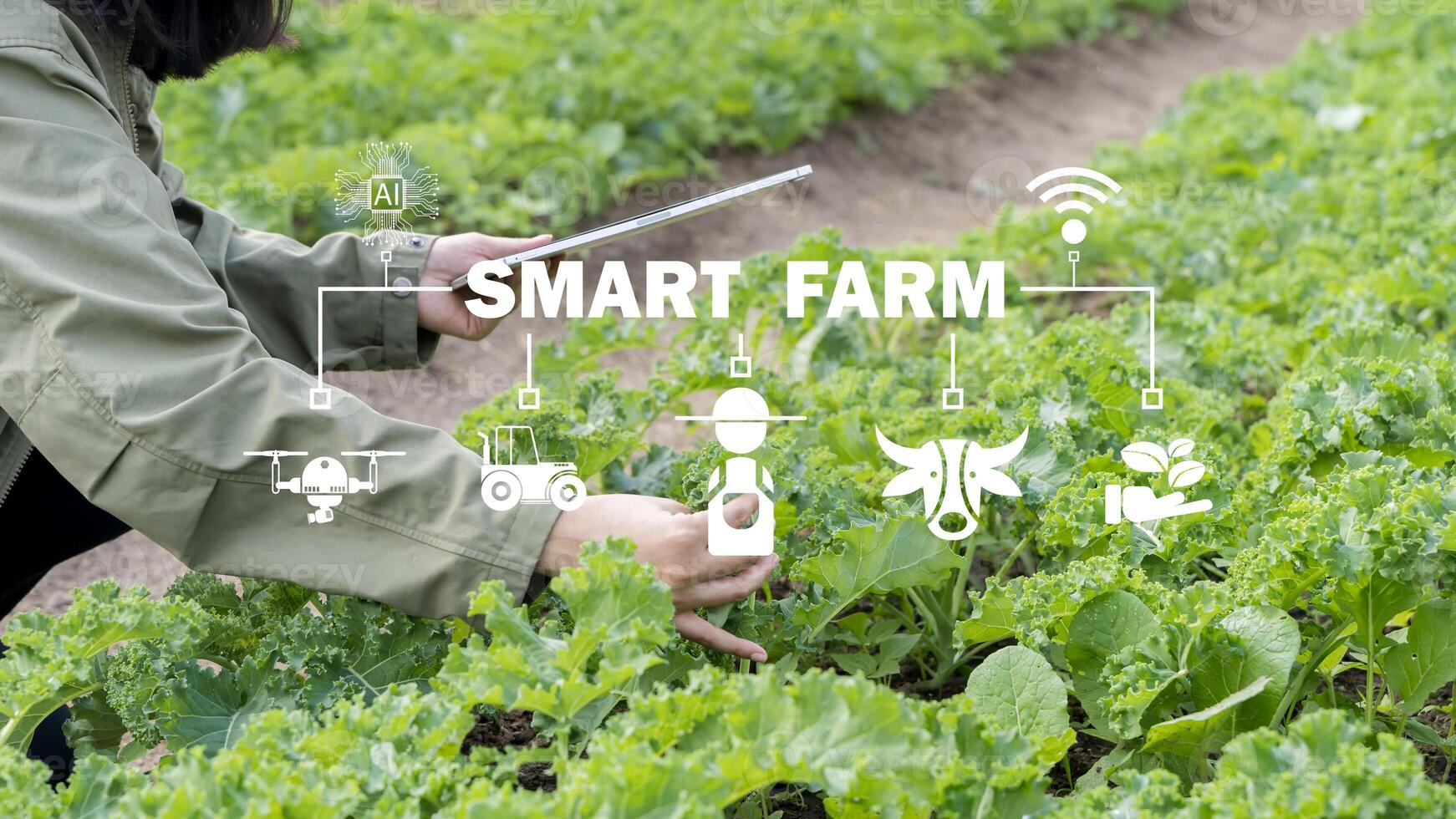 armers use agricultural technology in data analysis tablets and image icons. photo