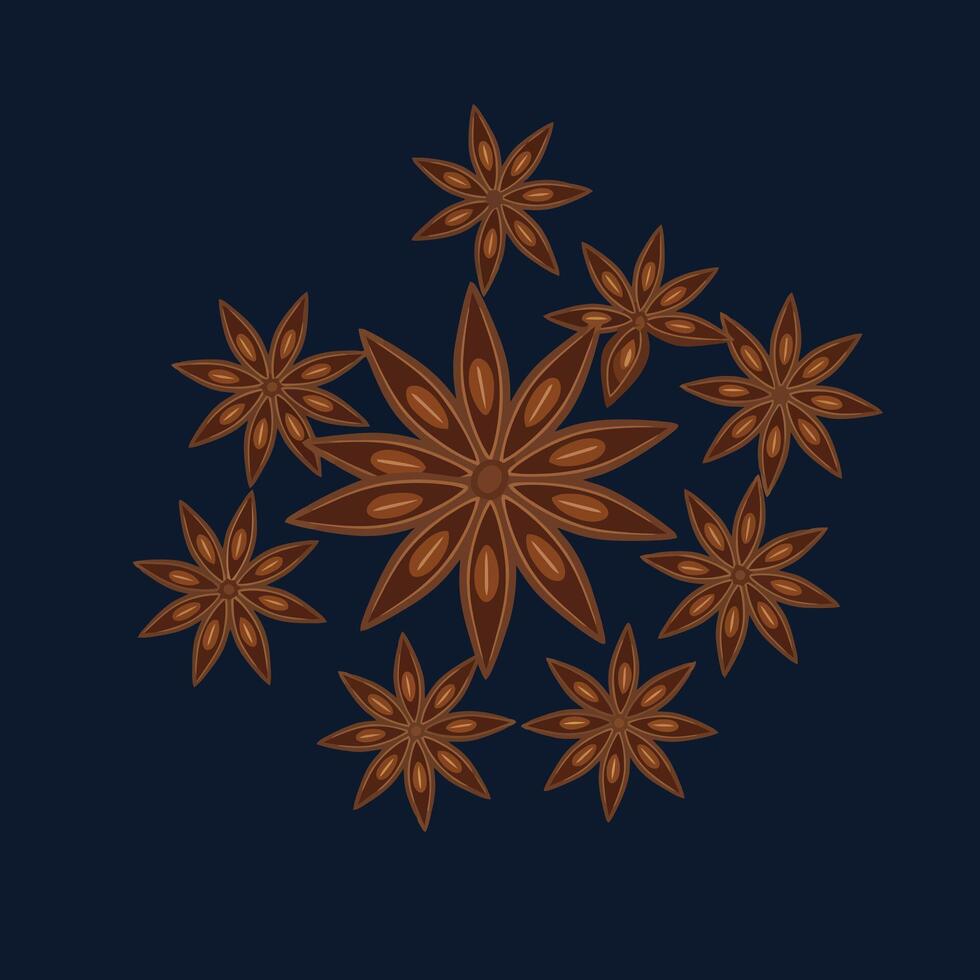 Arrangement of Star Anise Spice Pods on Deep Blue Background vector