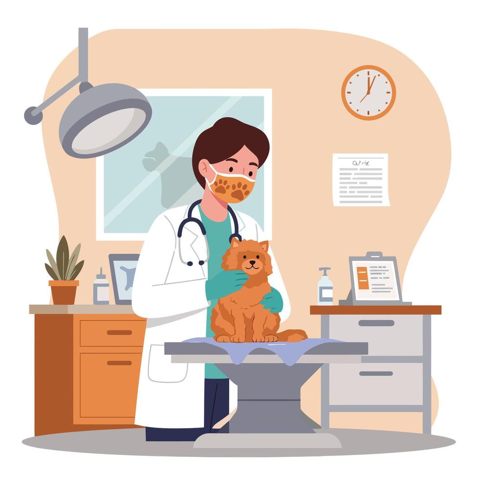 Veterinarian Examining Orange Cat on Table in Clinic Setting vector