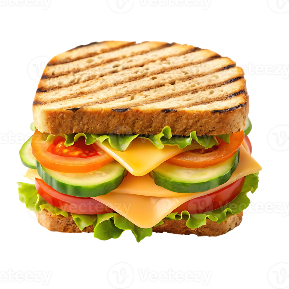 Delicious grilled sandwich with cheese, tomato, cucumber, and lettuce. png