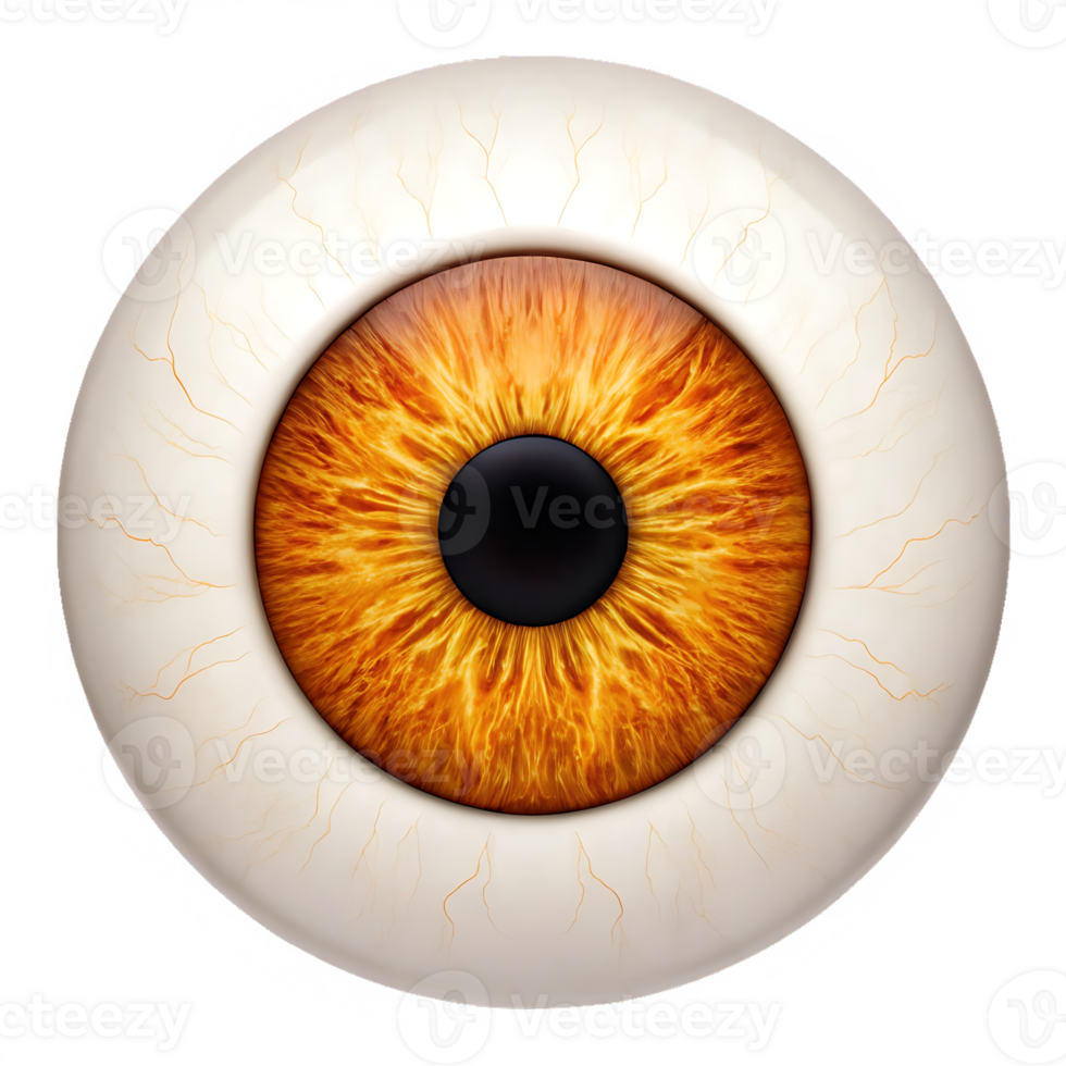 Close up of a human eye with amber iris. png