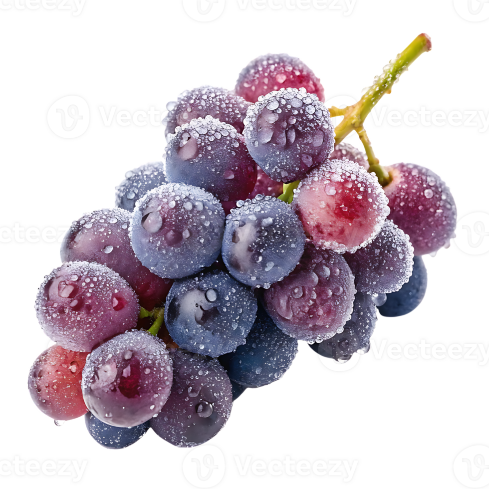 Fresh red and blue grapes with water drops png