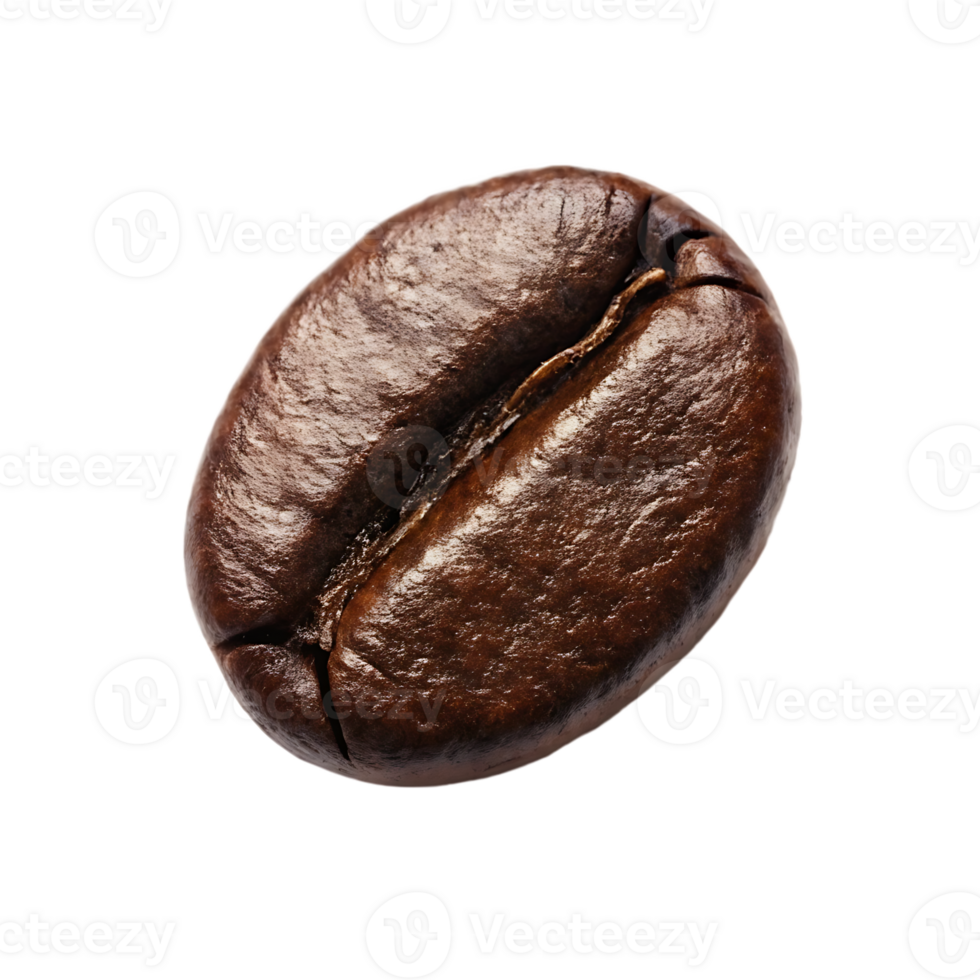Close up of a single roasted coffee bean. png