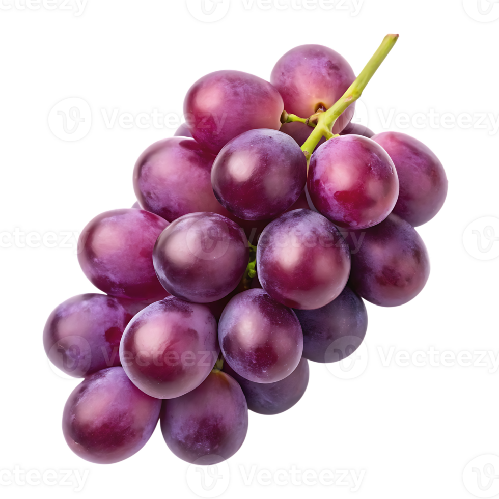 Fresh red grapes on a vine, png