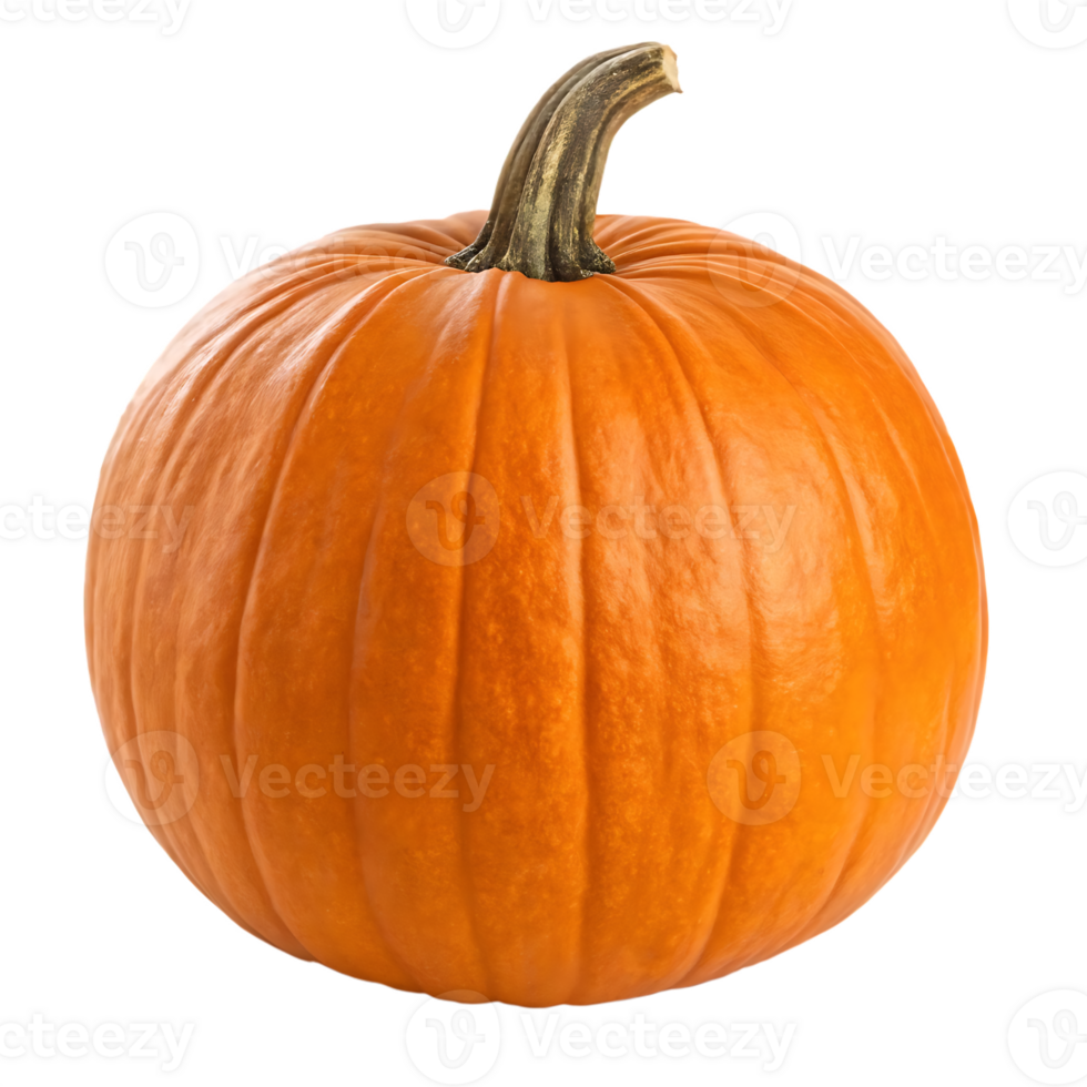 Single ripe orange pumpkin png