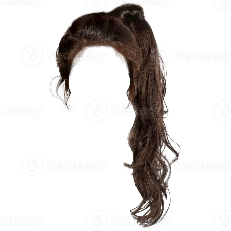 Long Wavy Brown Hair on Transparent Backgrounds png