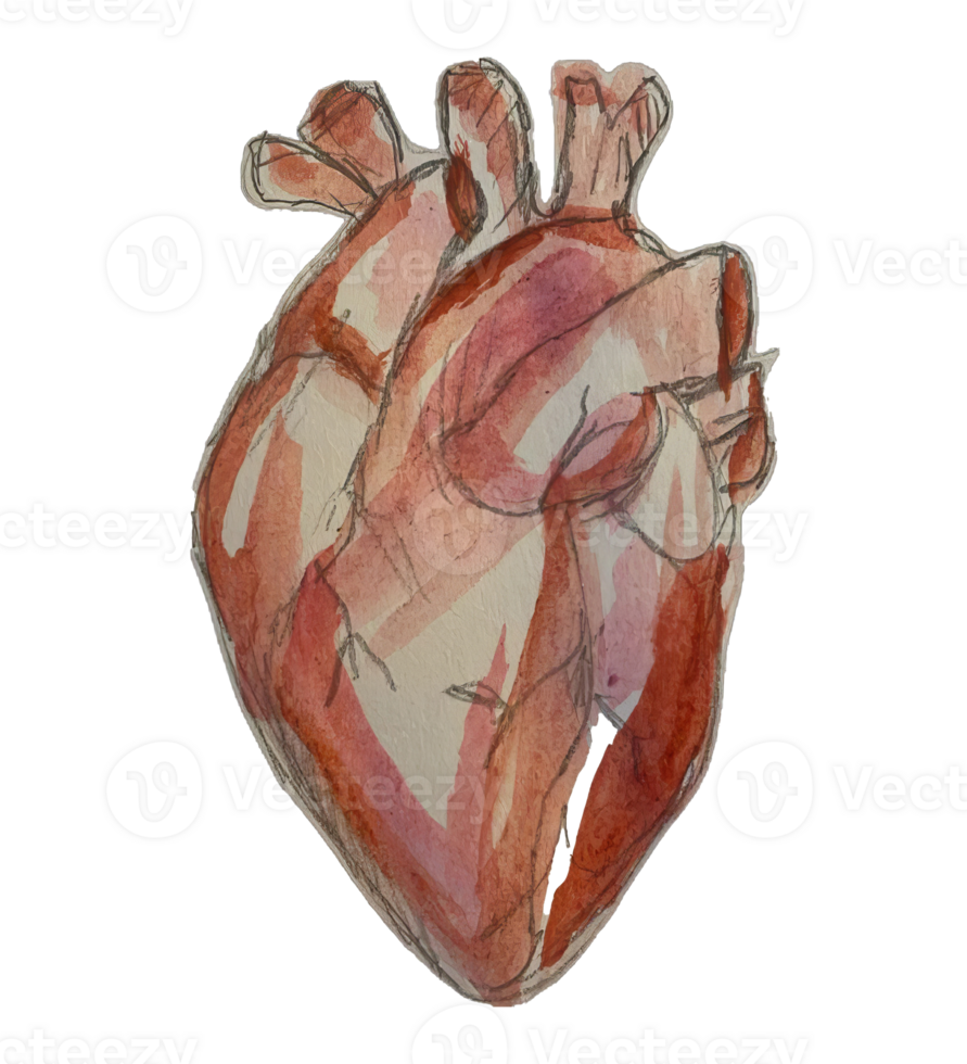 heart on paper unique drawing png