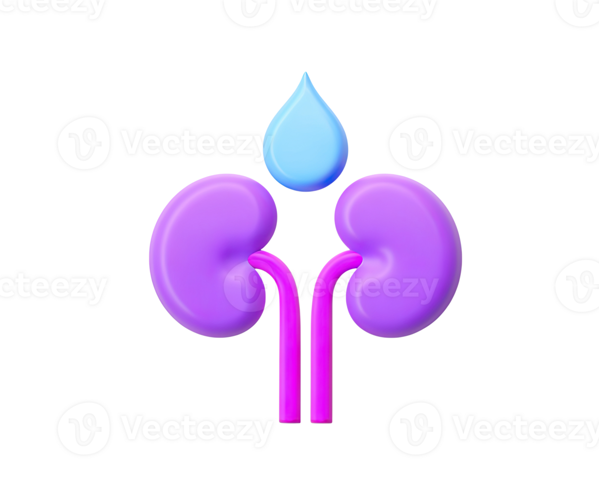 Kidneys with water drop 3D render icon. Represents nephrology, kidney health, hydration, or urinary system. Isolated transparent graphic organ anatomy. png