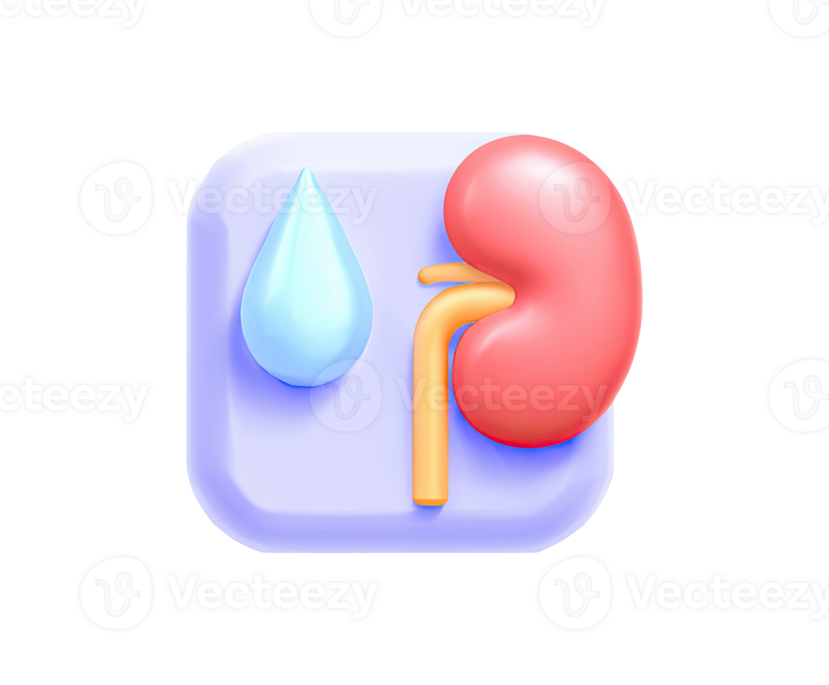Kidney with water drop in rounded square 3D render icon. Nephrology health symbol, hydration reminder, or urinary care app UI. Isolated transparent graphic. png