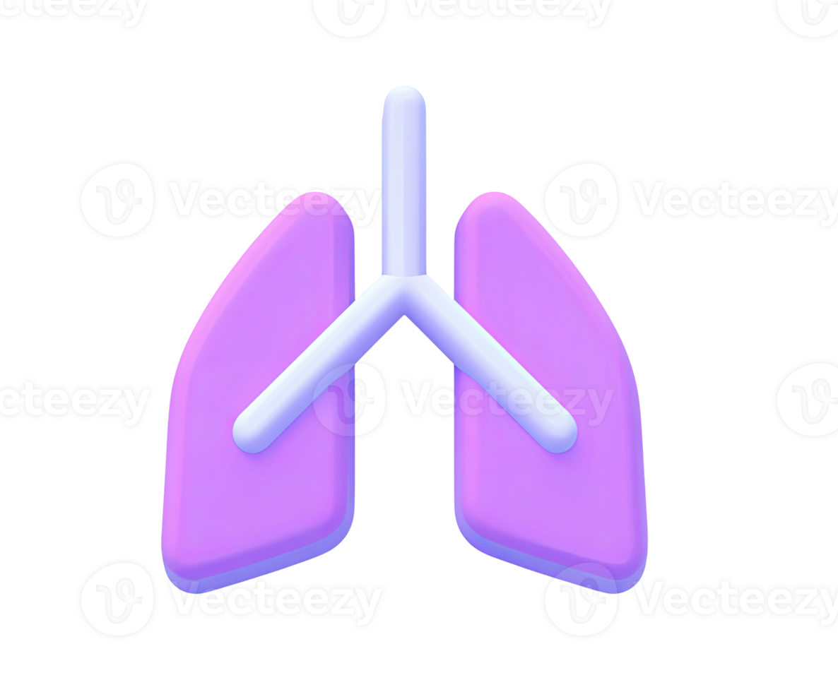 Human lungs organ 3D render icon. Represents respiratory system, breathing, pulmonology, or lung health. Isolated transparent graphic anatomy model. png