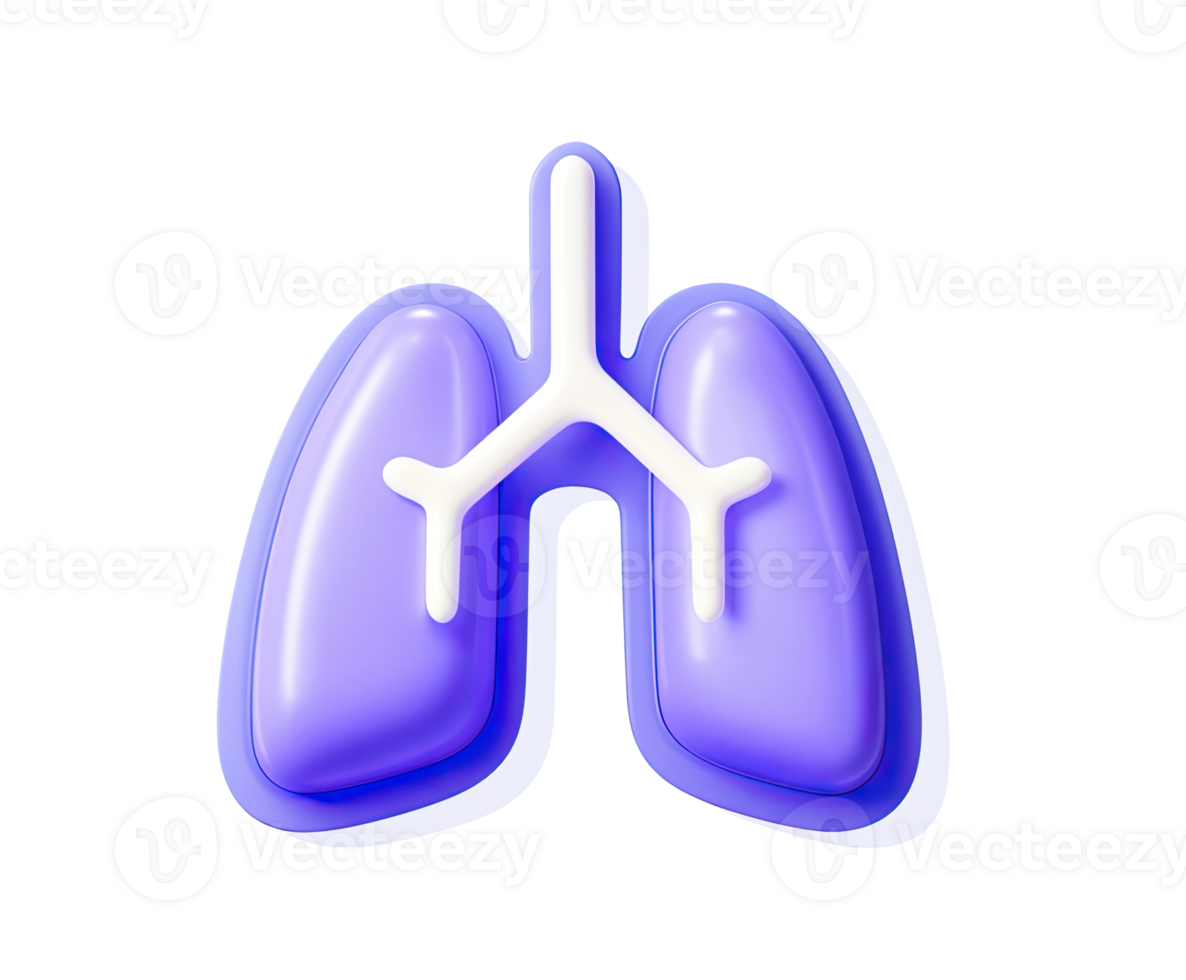 Human lungs anatomy 3D render icon. Detailed respiratory organ model for medical or educational use. Isolated transparent graphic science illustration. png