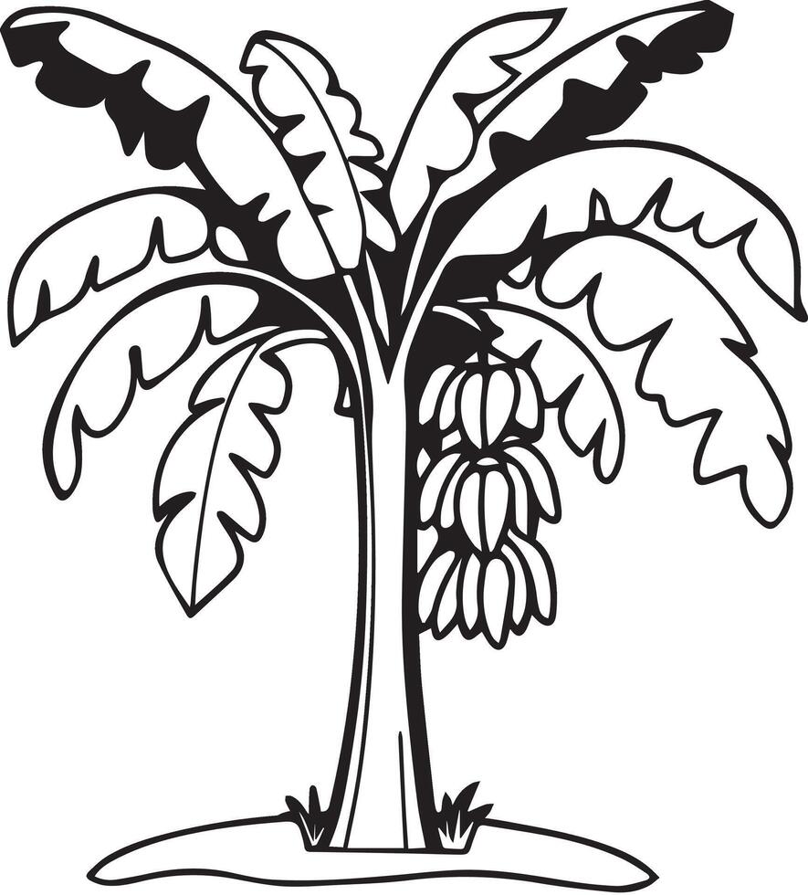 Banana Tree. silhouette illustration on white background vector