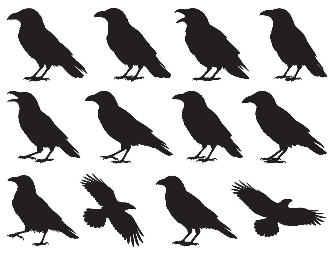 Crows Silhouette on white background vector